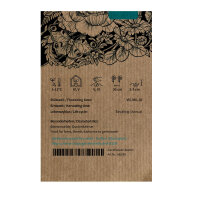 Altrosa Sonnenblume Astra Rose (Helianthus annuus) Samen