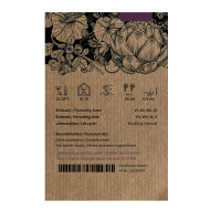 Orange Cocktailtomate Figiel (Solanum lycopersicum) Bio Saatgut