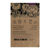 Gelbviolette Cocktailtomate Indigo Pear Drops (Solanum...