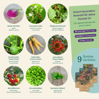 Samen Raritäten für deinen Garten- Samenset Nr.2