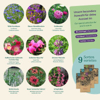 Balkon-Blumen selbst aussäen - Samenset Nr.04