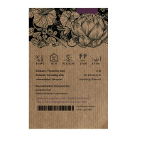 Rote Bete Cylindra (Beta vulgaris) Bio Saatgut