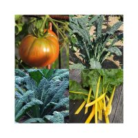 Alte historische Gemüsesorten (Bio) - Samenset