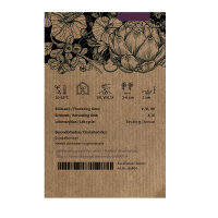 Grüner Rettich Green Luobo (Raphanus sativus) Samen