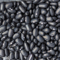 Teparybohne Black Mitla (Phaseolus acutifolius) Samen