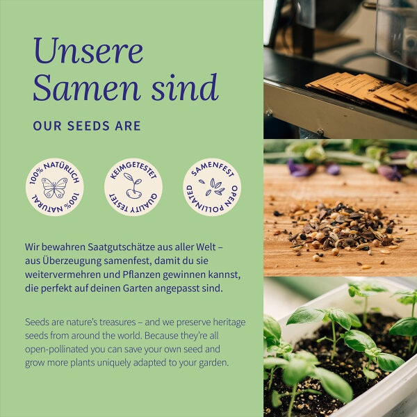 Cool Flowers - Robuste Sommerblumen für frühe Blüten - Samenset Nr. 34