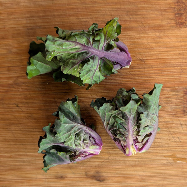 Kohlröschen (Brassica oleracea var. gemmifera x sabellica) Samen