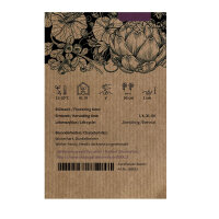 Kohlröschen (Brassica oleracea var. gemmifera x sabellica) Samen