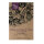 Grüner Blumenkohl Verde di Macerata (Brassica oleracea var. botrytis) Samen