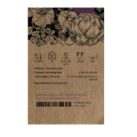 Catalogna Puntarella Galatina (Cichorium intybus var. foliosum) Samen