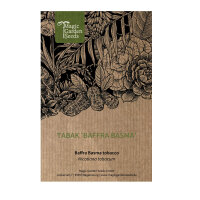 Tabak Baffra Basma (Nicotiana tabacum) Samen