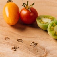 Bunte alte Tomatensorten - Samen-Geschenkset