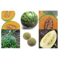 Robuste süße Melonen - Samen-Geschenkset
