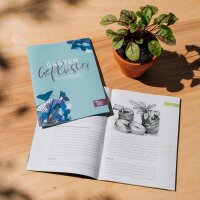 Mittelalter Garten - Samen-Geschenkset