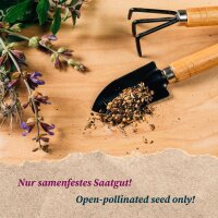 Vitaminreiche Salatsorten - Samen-Geschenkset