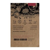 Cilantro / Blatt-Koriander Caribe (Coriandrum sativum) Bio Saatgut