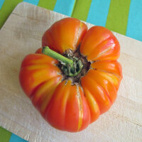 Leckere alte Fleischtomatensorten - Samenset