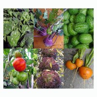 Urban Gardening - Samen-Geschenkset