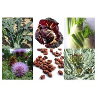 Alte italienische Gemüsesorten (Bio) - Samen-Geschenkset
