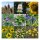 Wilde Vogelfutter-Blumenwiese (Bio) - Samen-Geschenkset