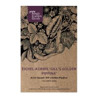 Eichel-Kürbis Gills Golden Pippina (Cucurbita pepo)...