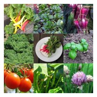 Hochbeet-Gemüse für Anfänger (Bio) - Samen-Geschenkset